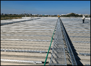 Thai Pigeon Co., Ltd. — thumbnail 4
